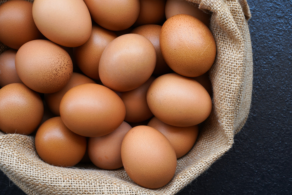 Omringd vervagen Parel Barneveldse kippen eieren 6 stuks | Leckerick
